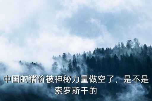 中國的豬價被神秘力量做空了，是不是索羅斯干的