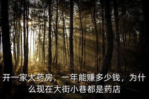 開一家大藥房，一年能賺多少錢，為什么現(xiàn)在大街小巷都是藥店