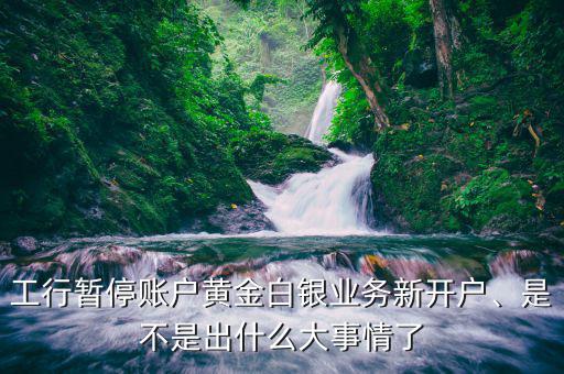 工行暫停賬戶黃金白銀業(yè)務(wù)新開戶、是不是出什么大事情了