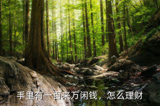 手里有一百來萬閑錢，怎么理財(cái)