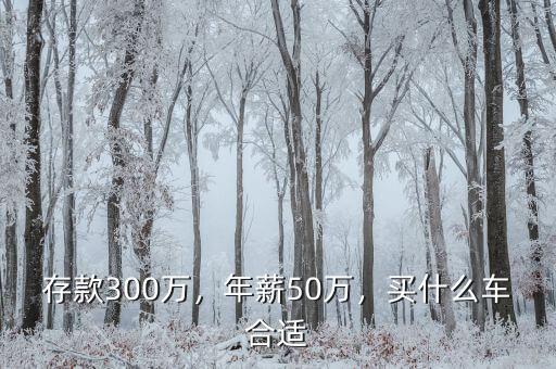 存款300萬(wàn)，年薪50萬(wàn)，買什么車合適