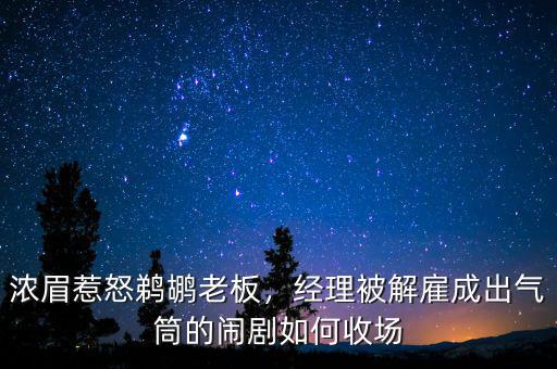 濃眉惹怒鵜鶘老板，經(jīng)理被解雇成出氣筒的鬧劇如何收?qǐng)? class=