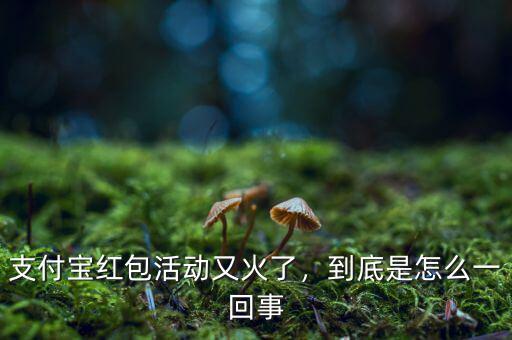 支付寶紅包活動又火了，到底是怎么一回事