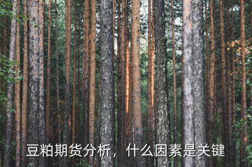 豆粕期貨分析，什么因素是關鍵