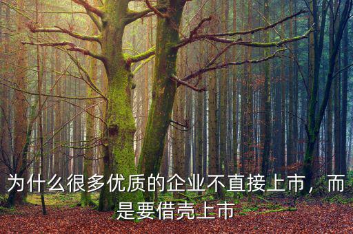 為什么很多優(yōu)質(zhì)的企業(yè)不直接上市，而是要借殼上市