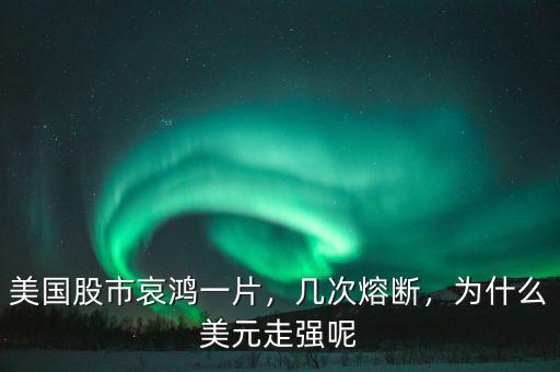 美國股市哀鴻一片，幾次熔斷，為什么美元走強呢