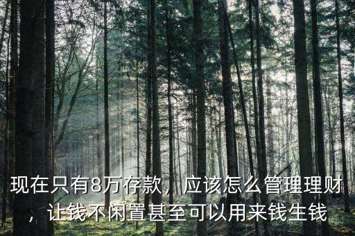 現(xiàn)在只有8萬存款，應(yīng)該怎么管理理財(cái)，讓錢不閑置甚至可以用來錢生錢