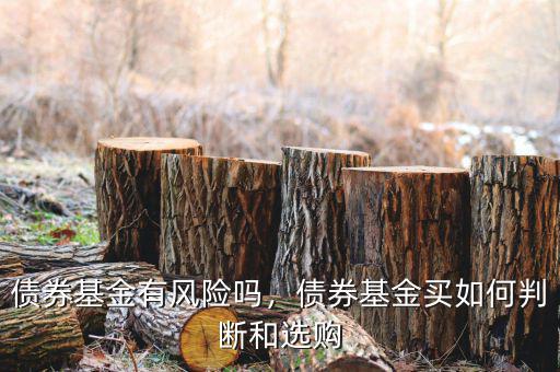 債券基金有風(fēng)險嗎，債券基金買如何判斷和選購