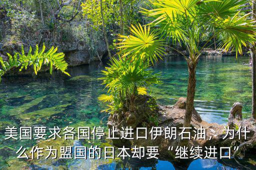 美國要求各國停止進口伊朗石油，為什么作為盟國的日本卻要“繼續(xù)進口”