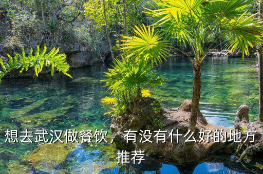 想去武漢做餐飲，有沒有什么好的地方推薦