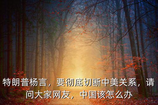 特朗普楊言，要徹底切斷中美關系，請問大家網友，中國該怎么辦