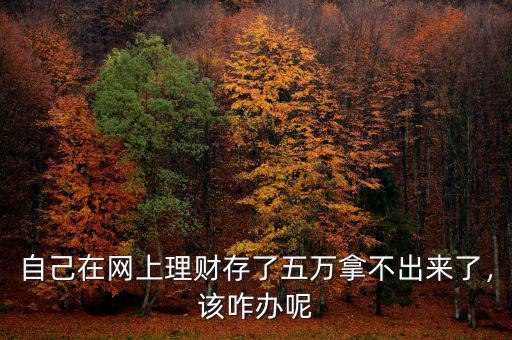 自己在網(wǎng)上理財(cái)存了五萬拿不出來了，該咋辦呢