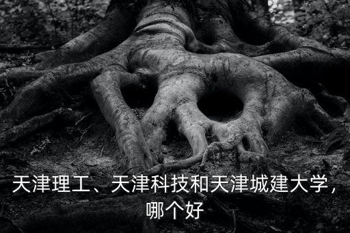 天津理工、天津科技和天津城建大學(xué)，哪個(gè)好
