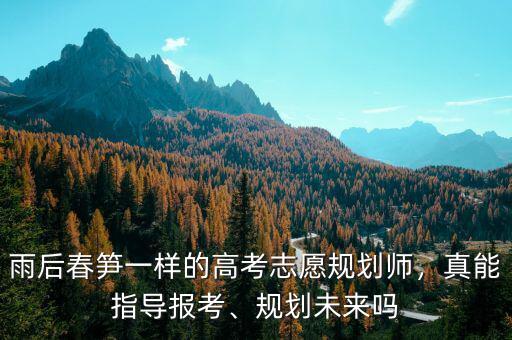 雨后春筍一樣的高考志愿規(guī)劃師，真能指導報考、規(guī)劃未來嗎