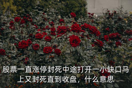 股票一直漲停封死中途打開一小缺口馬上又封死直到收盤，什么意思