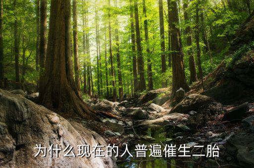 為什么要鼓勵生二胎,現(xiàn)在國家鼓勵生二胎
