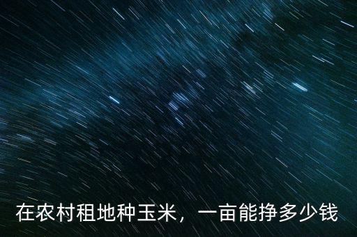 在農村租地種玉米，一畝能掙多少錢