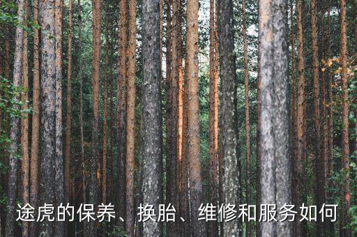 途虎的保養(yǎng)、換胎、維修和服務(wù)如何