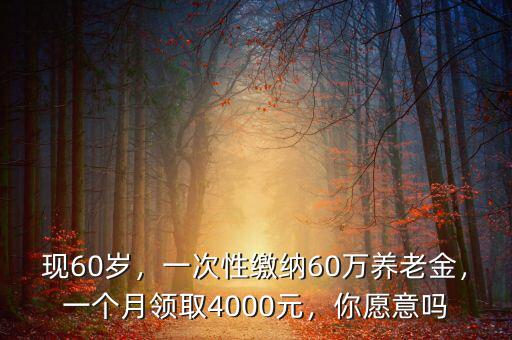 養(yǎng)老金一個月領多少,一個月一般可以領多少養(yǎng)老金