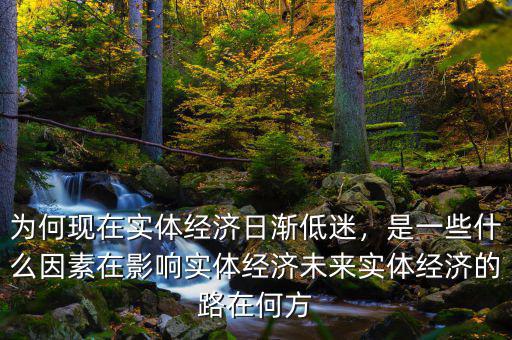 為何現(xiàn)在實(shí)體經(jīng)濟(jì)日漸低迷，是一些什么因素在影響實(shí)體經(jīng)濟(jì)未來實(shí)體經(jīng)濟(jì)的路在何方
