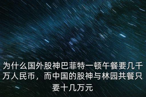 為什么國外股神巴菲特一頓午餐要幾千萬人民幣，而中國的股神與林園共餐只要十幾萬元