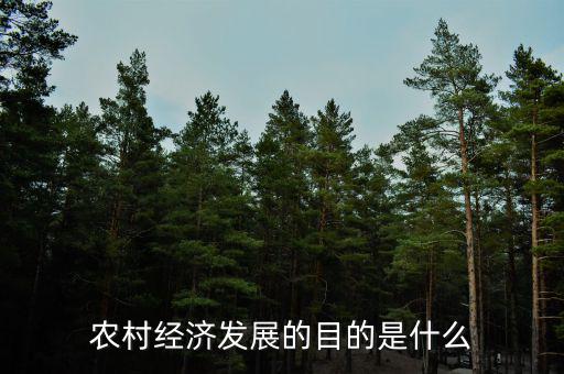 什么叫經(jīng)濟(jì)發(fā)展,經(jīng)濟(jì)發(fā)展的趨勢是什么