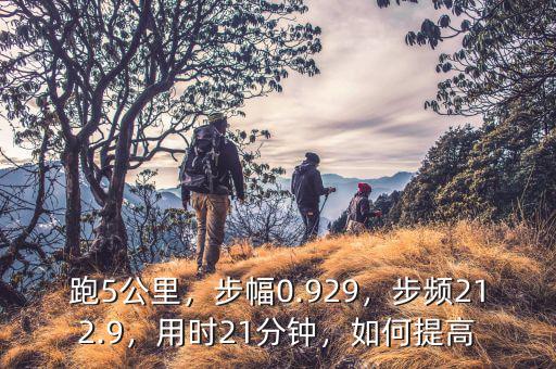 跑5公里，步幅0.929，步頻212.9，用時21分鐘，如何提高
