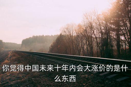 你覺得中國未來十年內(nèi)會大漲價的是什么東西