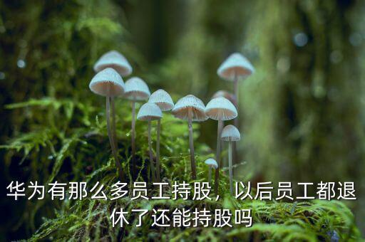 華為有那么多員工持股，以后員工都退休了還能持股嗎