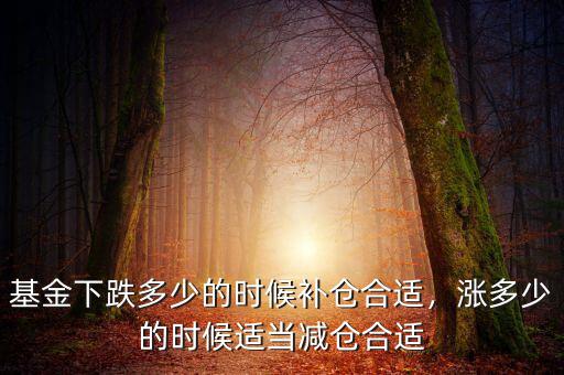 基金下跌多少的時候補倉合適，漲多少的時候適當減倉合適