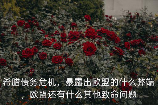 希臘債務(wù)危機(jī)，暴露出歐盟的什么弊端，歐盟還有什么其他致命問(wèn)題