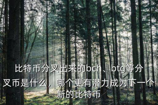 比特幣分叉出來的bch、btg等分叉幣是什么，哪個更有潛力成為下一個新的比特幣