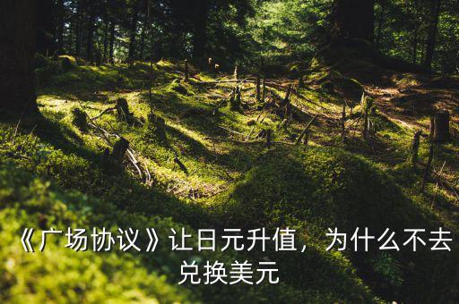 《廣場協(xié)議》讓日元升值，為什么不去兌換美元