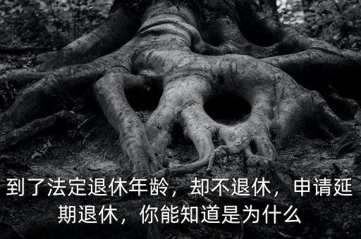 到了法定退休年齡，卻不退休，申請(qǐng)延期退休，你能知道是為什么