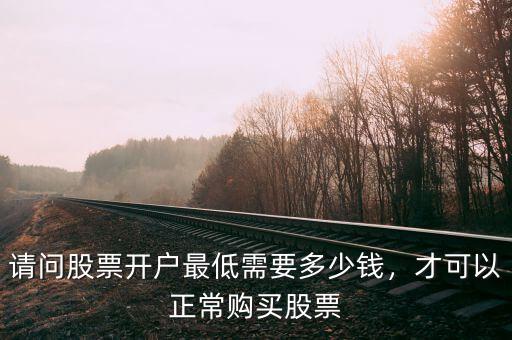 請問股票開戶最低需要多少錢，才可以正常購買股票