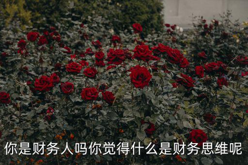 什么是會計(jì)思維,什么是財(cái)務(wù)思維