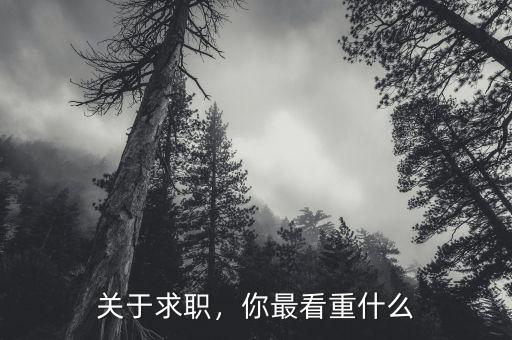 關(guān)于求職，你最看重什么