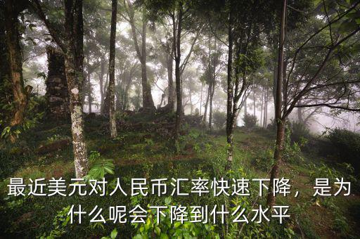最近美元對人民幣匯率快速下降，是為什么呢會(huì)下降到什么水平