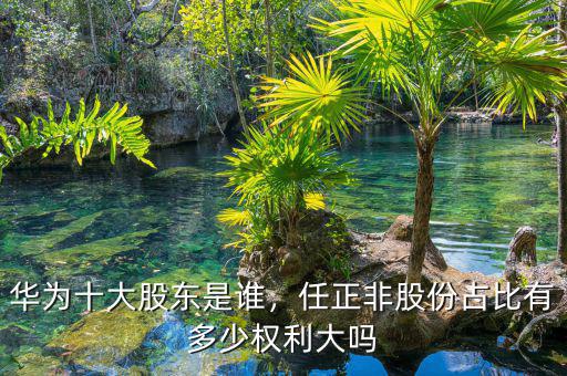 華為十大股東是誰，任正非股份占比有多少權(quán)利大嗎