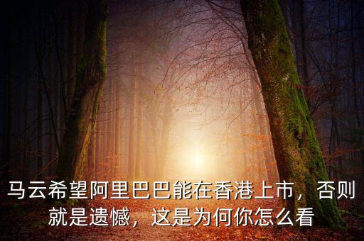 馬云希望阿里巴巴能在香港上市，否則就是遺憾，這是為何你怎么看