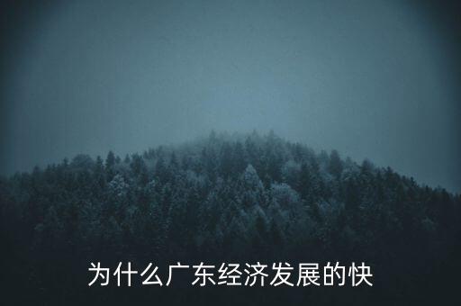 為什么廣東經(jīng)濟發(fā)展的快