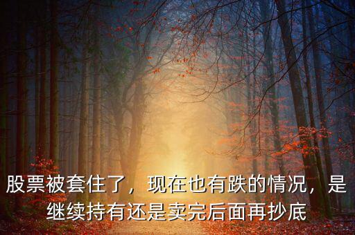 股票被套住了，現(xiàn)在也有跌的情況，是繼續(xù)持有還是賣完后面再抄底