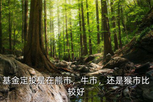 基金定投是在熊市，牛市，還是猴市比較好