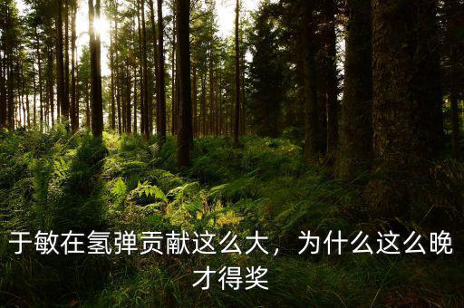于敏在氫彈貢獻(xiàn)這么大，為什么這么晚才得獎(jiǎng)