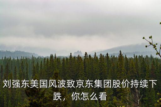 劉強(qiáng)東美國(guó)風(fēng)波致京東集團(tuán)股價(jià)持續(xù)下跌，你怎么看