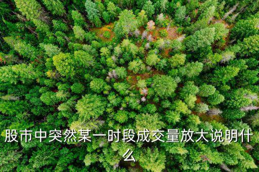 股市中突然某一時(shí)段成交量放大說明什么