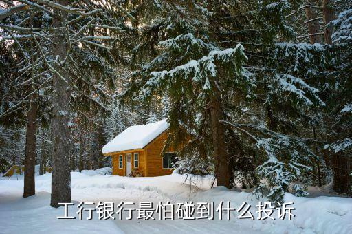 銀行行長最怕舉報(bào)什么,我能舉報(bào)銀行行長嗎