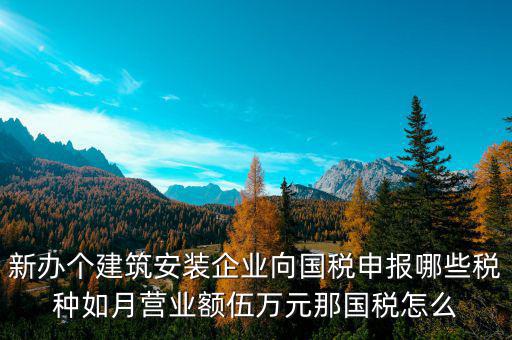 新辦個建筑安裝企業(yè)向國稅申報(bào)哪些稅種如月營業(yè)額伍萬元那國稅怎么