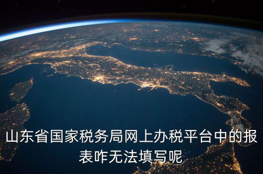 山東省國(guó)家稅務(wù)局網(wǎng)上辦稅平臺(tái)中的報(bào)表咋無(wú)法填寫(xiě)呢