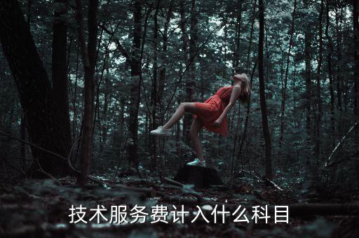 技術(shù)服務(wù)收入計(jì)入什么科目，收到技術(shù)服務(wù)費(fèi)計(jì)入什么科目